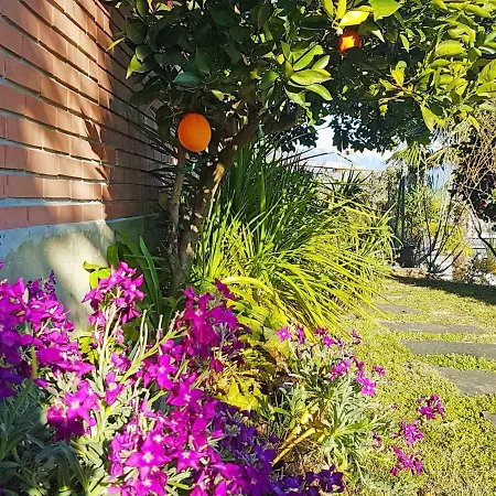 Casa Arancio * Minusio